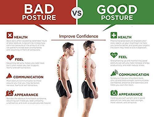 Premium Posture Corrector & Back Support – Stand Tall, Live Pain-Free